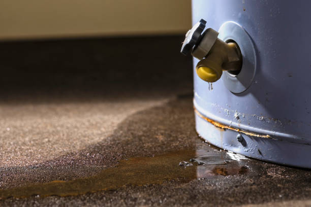 Best Local water damage restoration  in Golden Glades, FL