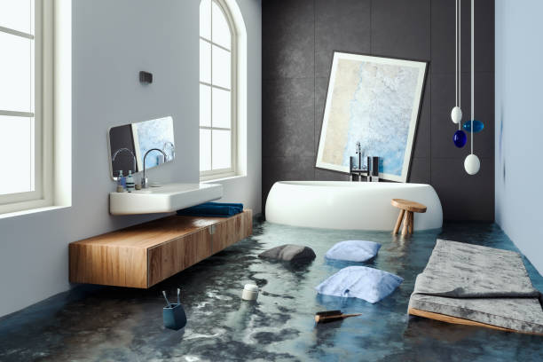 Best Professional water damage repair  in Golden Glades, FL