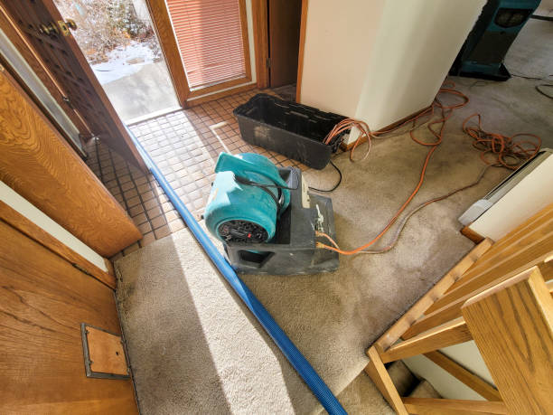 Best Fire Damage Restoration  in Golden Glades, FL