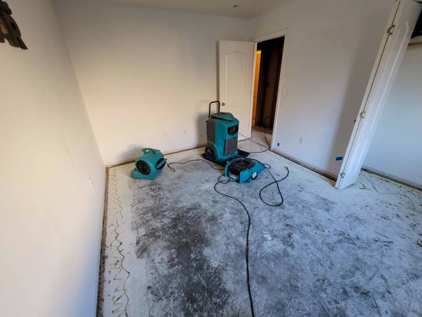 Best Water damage cleanup near me  in Golden Glades, FL