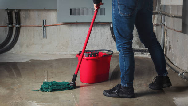 Best 24-hour water damage restoration  in Golden Glades, FL