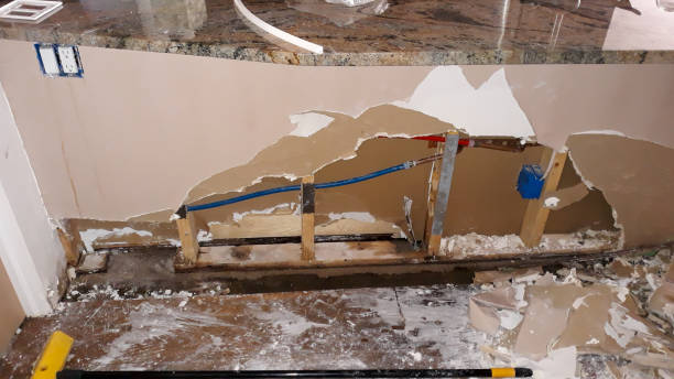 Best Residential water damage restoration  in Golden Glades, FL