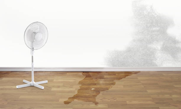 Best Flooded house restoration  in Golden Glades, FL