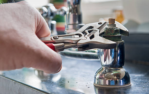 Best Mold removal after water damage  in Golden Glades, FL