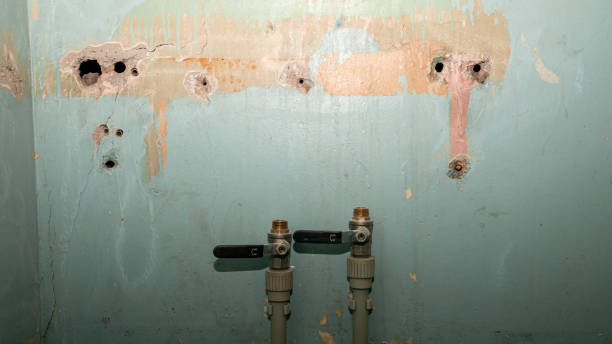 Best Water damage restoration near me  in Golden Glades, FL