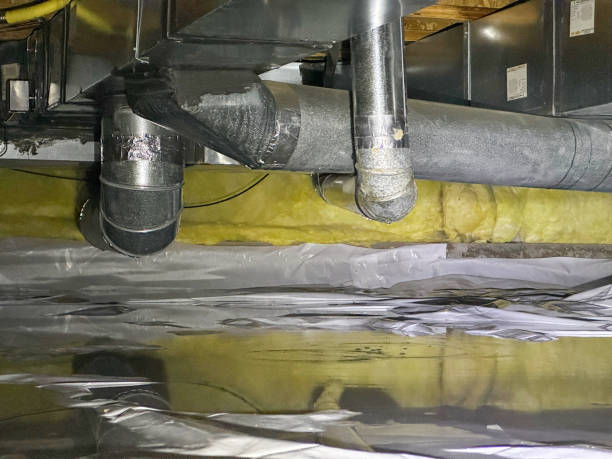 Best 24/7 water damage repair  in Golden Glades, FL
