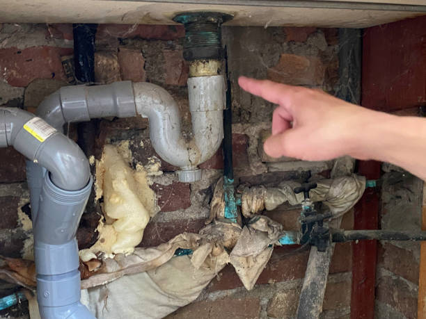 Best Flood restoration services  in Golden Glades, FL