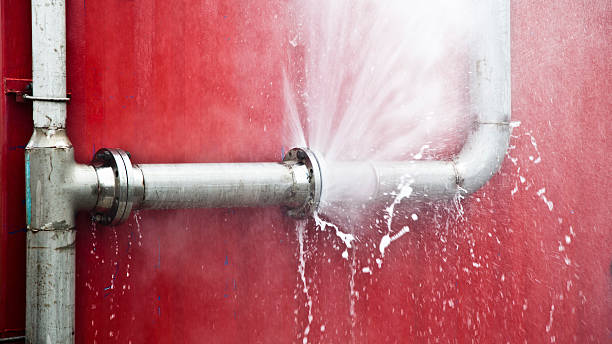 Best Mold removal after water damage  in Golden Glades, FL