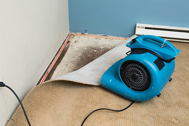  Golden Glades, FL Water damage restoration Pros